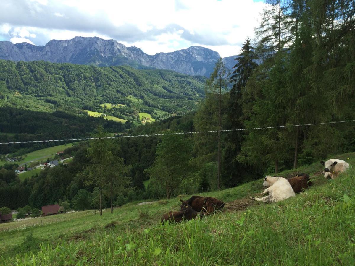 Kreitalm - Kraftplatz Im Salzkammergut Neukirchen  Exterior foto